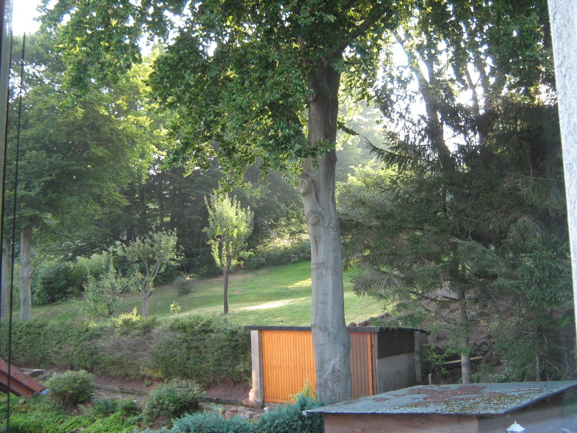 Ferienwohnung Sauerland Panorama Korbach Exterior photo